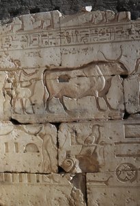 Relief, Ramses II:n temppeli, Abydos, Egypti, Egyptin sivilisaatio, Uusi kuningaskunta, XIX-dynastia (kuva) tekijältä Egyptian 19th Dynasty