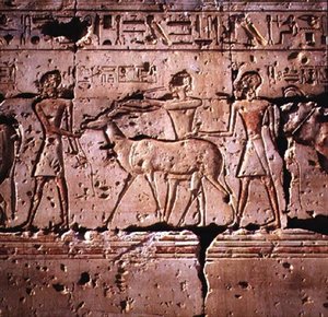 Reliefi kuvasi oryxia johdettuna uhrauskulkueeseen Ramses II:n temppelistä, Uudesta kuningaskunnasta