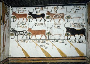 Seitsemän taivaallista lehmää, aviomies ja neljä ohjausairoa, Book of Deadin luku 148, yksityiskohta freskoista Nefertarin haudan toisessa kammiossa Queensin laaksossa Luxorissa Thebesissa. Egyptin sivilisaatio, Uusi kuningaskunta, dynastia XIX. tekijältä Egyptian 19th Dynasty