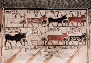 Nefertarin hauta (seinämaalaus) tekijältä Egyptian 19th Dynasty