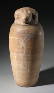 Canopic Jar, jossa paviaanin pää, 664-525 eaa tekijältä Egyptian 26th Dynasty