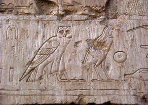 Egyptiläinen antiikki: pöllöä ja kotkaa edustava reliefi. Ankh-Horin hauta (Ankh Hor) (TT414) (26. dynastia, 672-525 eKr.), Luxor (Thebes), Egypti tekijältä Egyptian 26th Dynasty