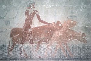 Nautakarja kahlaa kanavaa Mastaban kappelissa Ti, Vanha kuningaskunta (seinämaalaus)