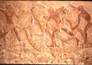 Miehet keihästelevät kaloja papyrusveneestä, Ptah-Hotep Tomb, 5. dynastia (kuva) tekijältä Egyptian 5th Dynasty