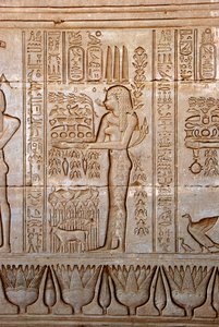 Egyptiläinen antiikin: esitys nuoresta naisesta, joka tuo uhreja kunnianosoituksena jumalattarelle, Hathorin temppeli, Dendera, Egypti tekijältä Egyptian Ptolemaic Period