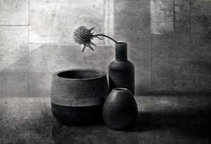 Moody Thistle -alukset tekijältä Elena Arjona
