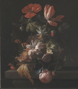 Kukkia kulhossa tekijältä Elias van den Broeck