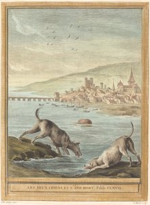 Kaksi koiraa ja kuollut aasi tekijältä Elie du Mesnil after Jean Baptiste Oudry