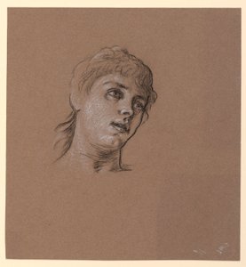 Piirustus, Nuoren tytön muotokuvan luonnos, n. 1885 tekijältä Elihu Vedder