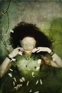 Hiding the thru you, 2013 (silkkipaino)