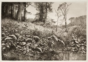 Kesäiltapäivä, 1882. tekijältä Elis F. Miller