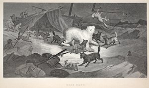 Bear Hunt, kuvitus teoksesta "Toinen Grinnell-retkikunta Sir John Franklinia etsimässä...", 1856