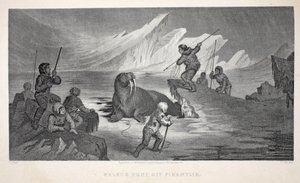 Mursun metsästys Pikantlikista, kuvitus teoksesta "Toinen Grinnell-retkikunta Sir John Franklinia etsimässä...", 1856