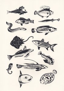 Monotone Plain Fish, 2015 (silkkipainatus)