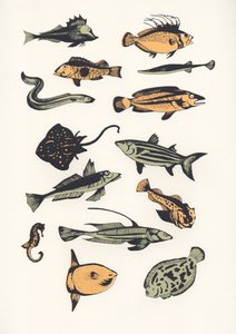 Plain Fish, 2015 (silmäpainatus) tekijältä Eliza Southwood