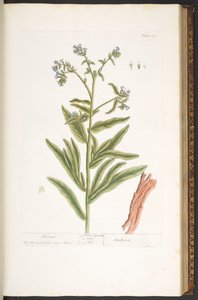 Levy 112, "A Curious Herbal" tekijältä Elizabeth Blackwell