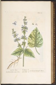 Levy 122, "A Curious Herbal" tekijältä Elizabeth Blackwell