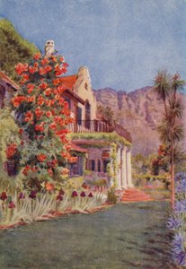 Bignonia grandiflora at Paradise, Claremont (värilitografia).