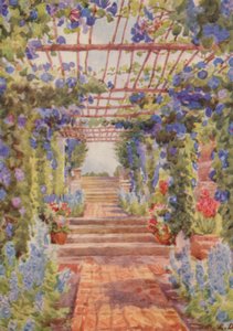 Sinisen Ipomoea Learii de Grendelin peittämä pergola, Tygerberg (värilitra)