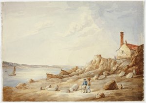 Rocky Shore tekijältä Elizabeth Murray