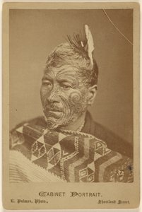Wira Takahi -saaristolahden sydän. [Māori-päällikkö, Ngapuhi] tekijältä Elizabeth Pulman
