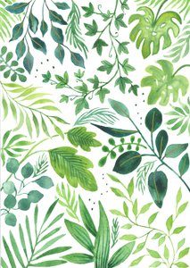 Leafy Medley, 2018 (vesiväri)