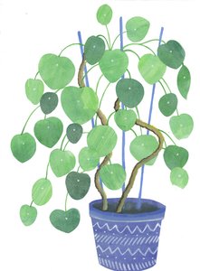Pilea-kasvi, 2017 (akvarelli ja kollaasi)