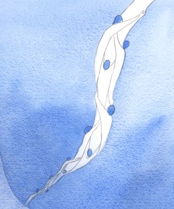 Esirukouksemme Kiirastulin pyhien sielujen puolesta, Jeesuksen nimessä, ovat kuin köysi, joka vetää heidät kohti taivasta, 2002 (paperilla) tekijältä Elizabeth Wang