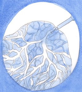 Rukous, kuin voimakas injektio heikkoon elimeen, tuo lämpöä, elämää ja uudistumista jokaiseen osaan, 2002 (paperilla) tekijältä Elizabeth Wang