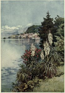 Ryhmä Yuccoja, Villa Melzi, Lago di Como, Kuvitus Richard Bagotin teoksesta "Italian järvet" tekijältä Ella Du Cane