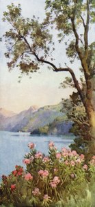 Leccojärvi, Comojärvi (väri litho) tekijältä Ella Du Cane