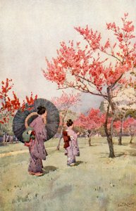 Peach Blossom (väri litho) tekijältä Ella Du Cane