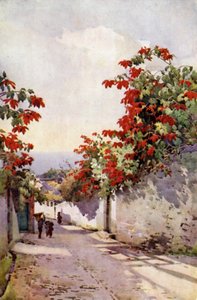 Joulutähti Mount Roadilla (väri litho) tekijältä Ella Du Cane