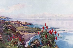 Puerto Orotava (värijäsenet) tekijältä Ella Du Cane