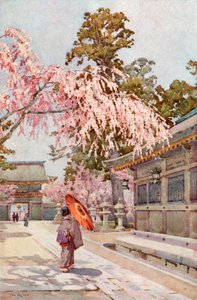 The Drooping Cherry (litografia de color) finlandès tekijältä Ella Du Cane