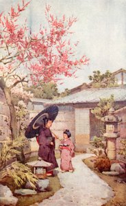 Kobai-luumun kukka (väri litho) tekijältä Ella Du Cane