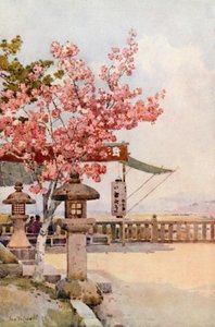 Pink Cherry (väri litho) tekijältä Ella Du Cane