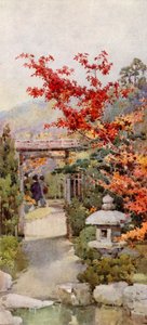 Scarlet Maple (väri litho) tekijältä Ella Du Cane
