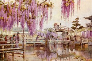 Wistaria, Kameido (väri litho) tekijältä Ella Du Cane
