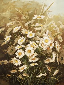 Koiranputkea, Ellen Thayer Fisher