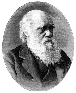 Charles Darwin, 1800-luvun englantilainen luonnontieteilijä, 1900.
