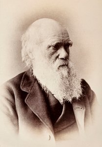 Charles Darwin: englantilainen luonnontieteilijä