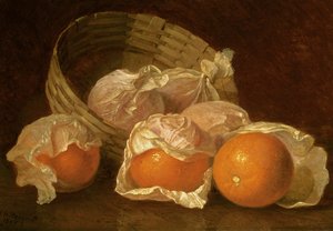 Appelsiinikori, 1895