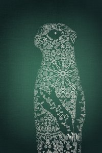 Monimutkainen meerkat-kuvio tekijältä Ema Paraschiv