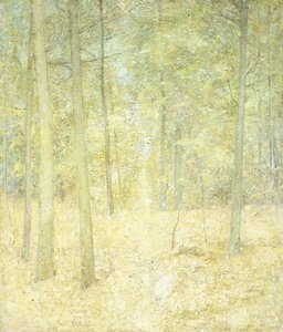 Metsäkohtaus tekijältä Emil Carlsen