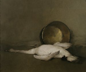 Villi joutsen, 1902
