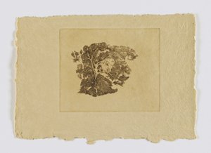 Puututkimus (fm. portfolio) tekijältä Emil Carlsen