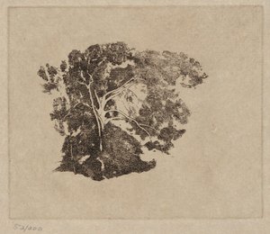 Puututkimus tekijältä Emil Carlsen