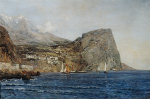 Dalmatian rannikkomaisema tekijältä Emil Jakob Schindler