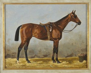 Gesattelter Brauner